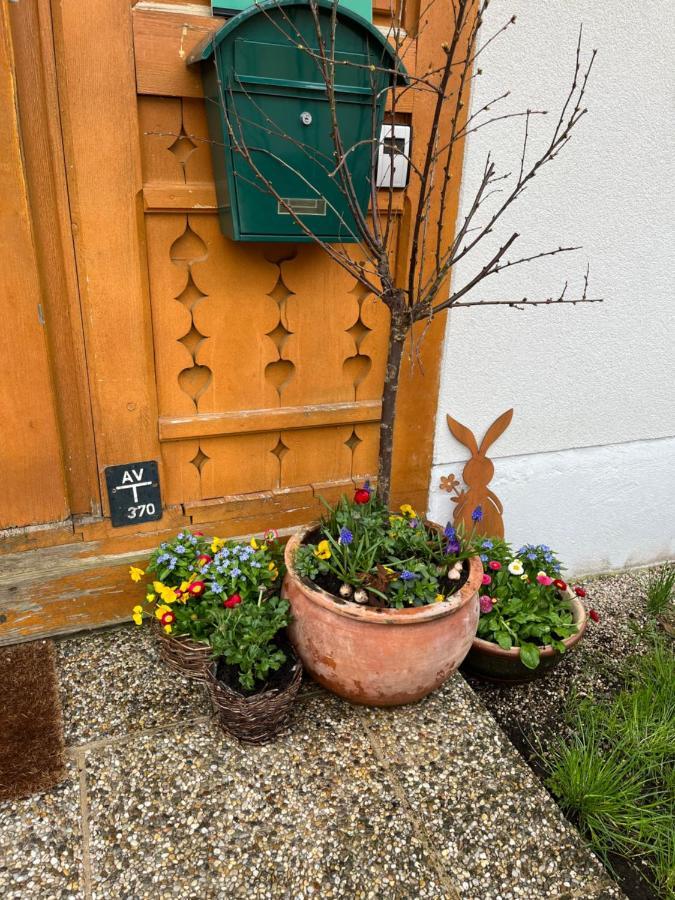 Appartement Emilia Hallstatt Exterior photo